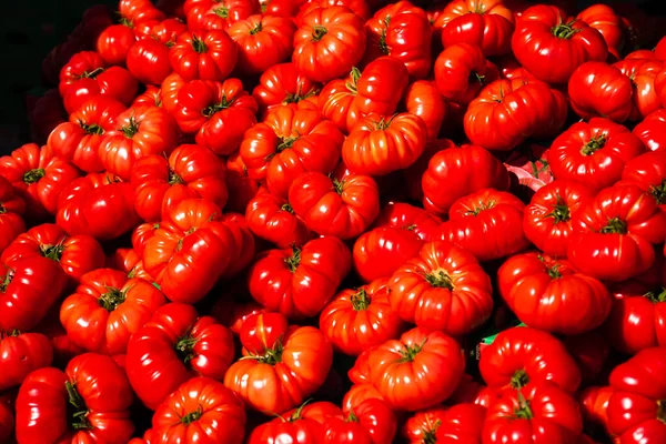 Tomate Vermelho Fundo Grupo Tomates — Fotografia de Stock
