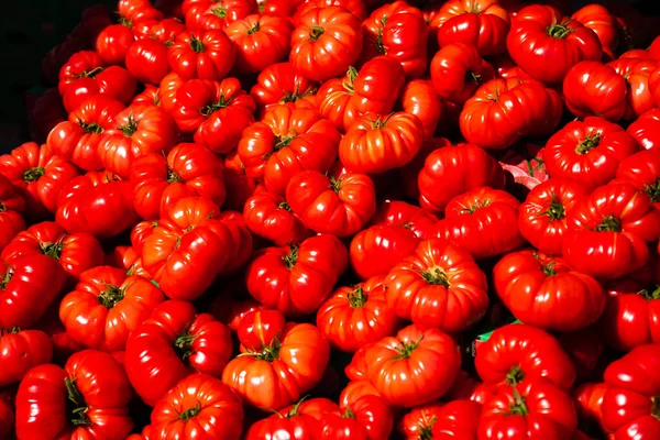 Rote Tomaten Hintergrund Gruppe Von Tomaten — Stockfoto