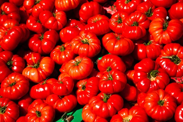 Κόκκινες Ντομάτες Φόντο Ομάδα Ντομάτες — Φωτογραφία Αρχείου