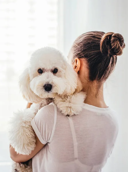 Kız köpeğe sarılıyor. Kız beyaz bir kanişi kucaklıyor ve pencereden dışarı bakıyor. Kaniş pençesini omzuna koydu ve kameraya baktı. Hayvan bakımı konsepti. 