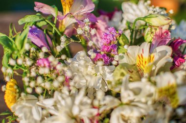 Güzel güneşli bir yaz günü, bir buket çiçek için tarlada taze kır çiçekleri açar.