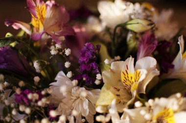 Güzel güneşli bir yaz günü, bir buket çiçek için tarlada taze kır çiçekleri açar.