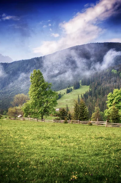 Berge Sind Jeder Jahreszeit Ein Toller Trekking Urlaub — Stockfoto