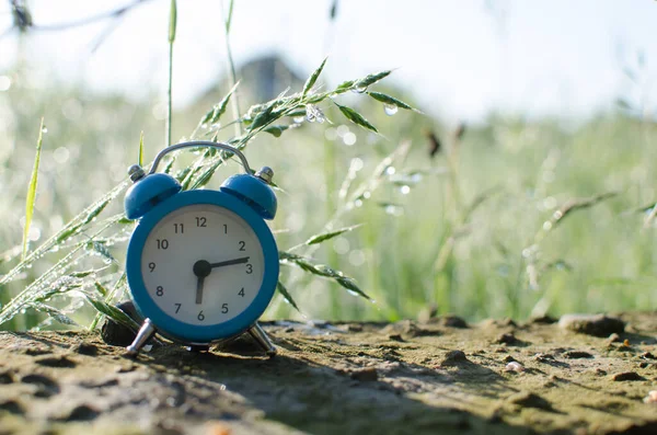 Small Alarm Clock Gives Signal Morning Rise — Stock Photo, Image