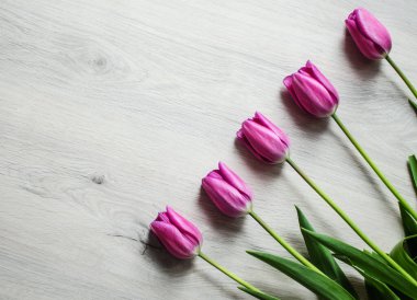 İnce bahar laleleri bir buket çiçek açar.