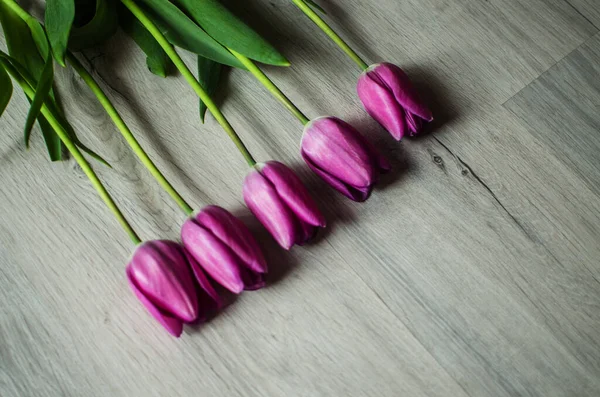 İnce bahar laleleri bir buket çiçek açar.