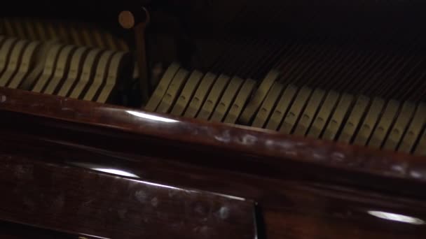 Närbild av pianister händer professionellt spela piano — Stockvideo
