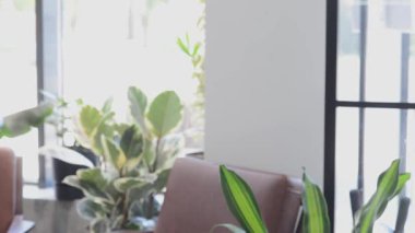 Kafede kedisi olan bir kız çerçevenin içinden geçiyor.