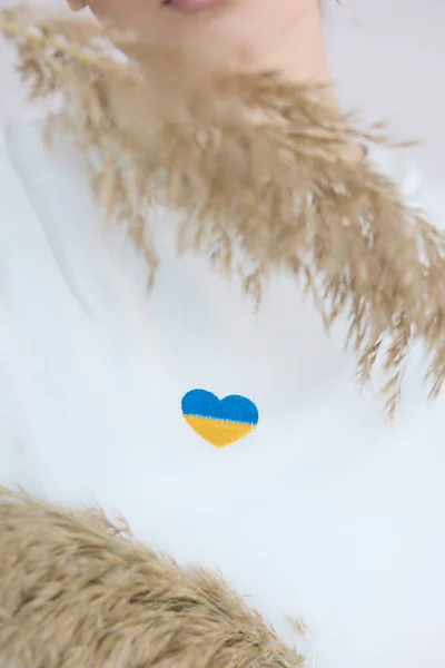 Kvinnors Shirt Med Ukrainas Flagga — Stockfoto