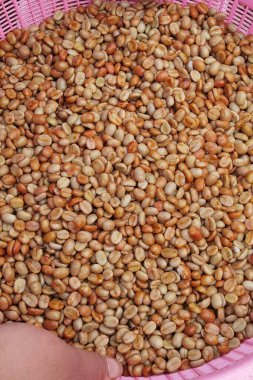 Kahve çekirdekleri, mayalanma ve yıkanma yöntemiyle.                              