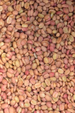 Kahve çekirdekleri, mayalanma ve yıkanma yöntemiyle.