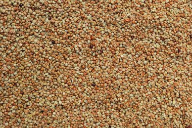  Arka plan için kahve çekirdeklerini kapatın.                                                               