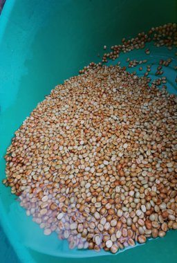 Kahve çekirdekleri, mayalanma ve yıkanma yöntemiyle.