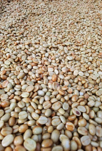 背景介绍咖啡豆的特写 — 图库照片