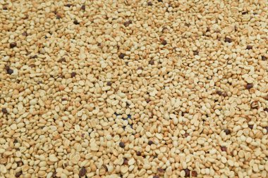  Arka plan için kahve çekirdeklerini kapatın.                                                               