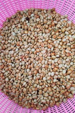 Kahve çekirdekleri, mayalanma ve yıkanma yöntemiyle.