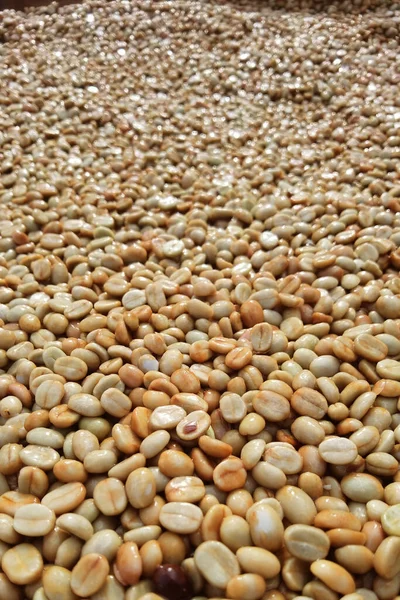 背景介绍咖啡豆的特写 — 图库照片