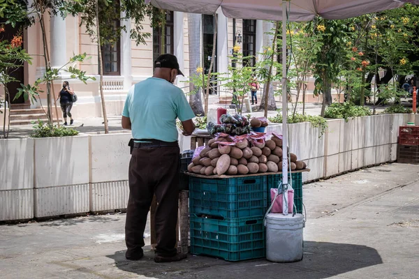 Mexican man, older adult attending mamey street stall on the sidewalk.