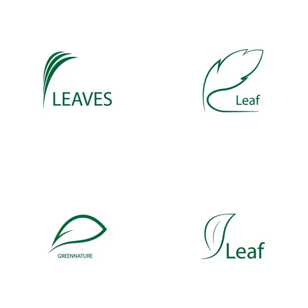 Feuille Verte Logo Illustration Design — Image vectorielle