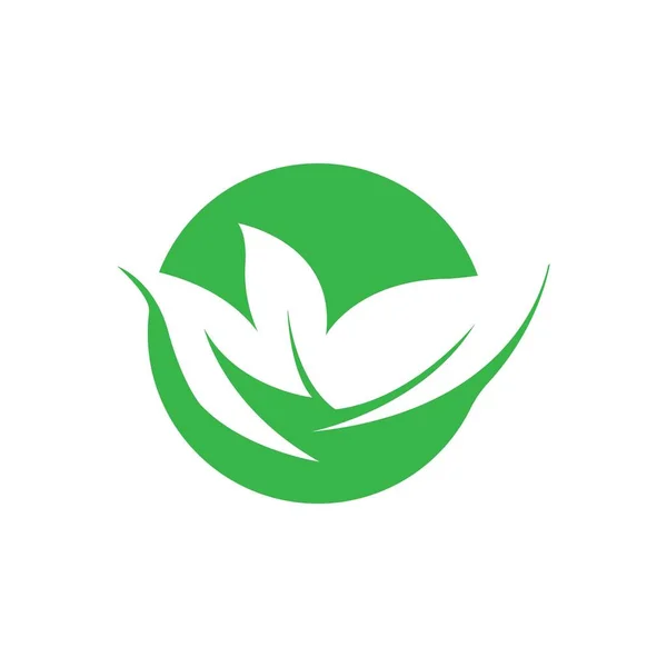 Blad Natur Logotyp Koncept Mall — Stock vektor