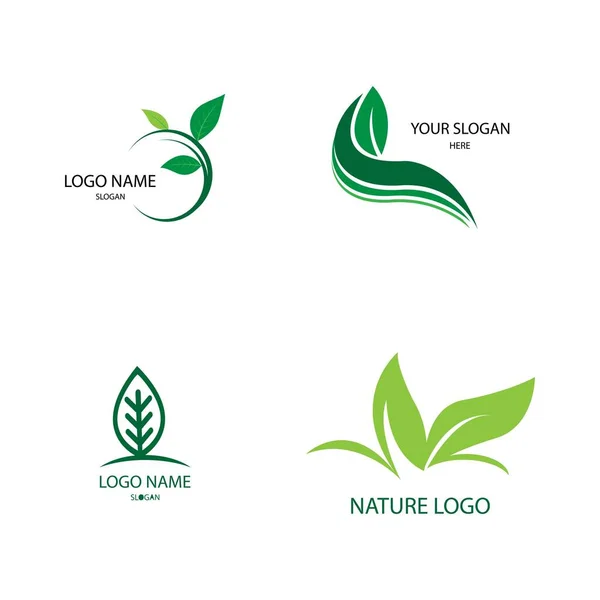 Hoja Naturaleza Logo Concepto Plantilla — Vector de stock