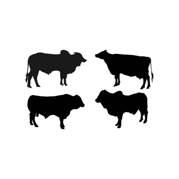 Negro Vaca Logotipo Vektor Plantilla — Archivo Imágenes Vectoriales