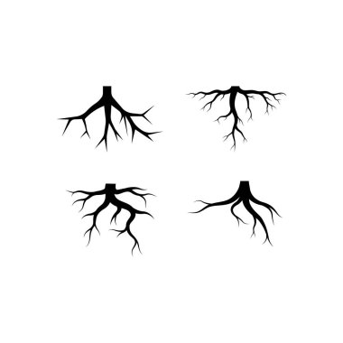 Kök vektör illüstrasyon şablon tasarımı