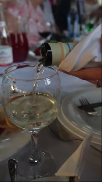 Bir Kadeh Şampanya — Stok video