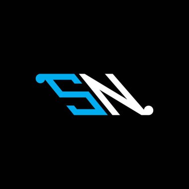 SN letter logo creative design with vector graphic