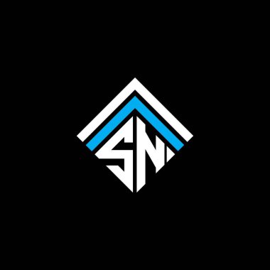 SN letter logo creative design with vector graphic, SN simple and modern logo.
