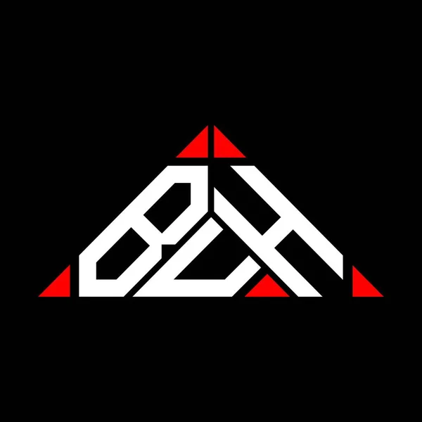 Buh Logo Creatief Ontwerp Met Vector Grafische Buh Eenvoudige Moderne — Stockvector