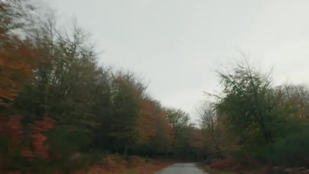 Video Van Auto Met Uitzicht Bomen Weg — Stockvideo