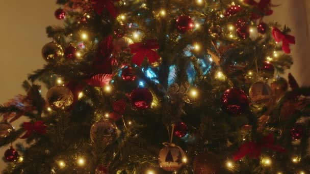 Kerstboom Het Huis — Stockvideo