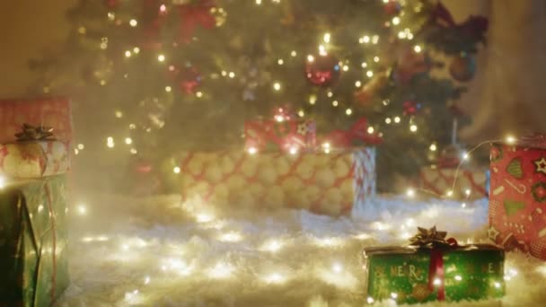 Evde Noel Ağacı Var — Stok video