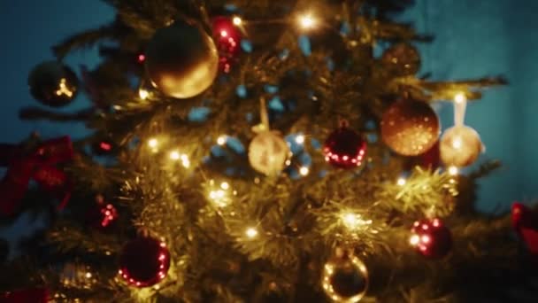 Weihnachtsbaum Haus — Stockvideo