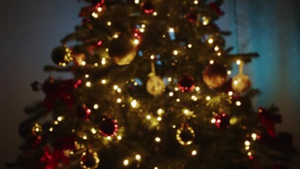 Karácsonyfa Házban — Stock videók