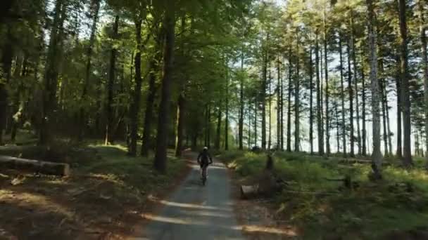 Man op de fiets loopt een berg beklimmen gezien van achteren tussen de bomen — Stockvideo