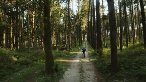 森の真ん中の未舗装の道を自転車で走っている男の子. — ストック動画