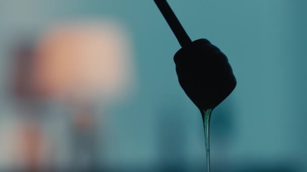 蜂蜜滴液木制勺子的轮廓 — 图库视频影像