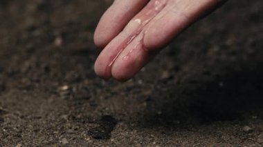 Çiftçi eli suluyor. Kırsal alanda ektikten sonra toprağı bırak.
