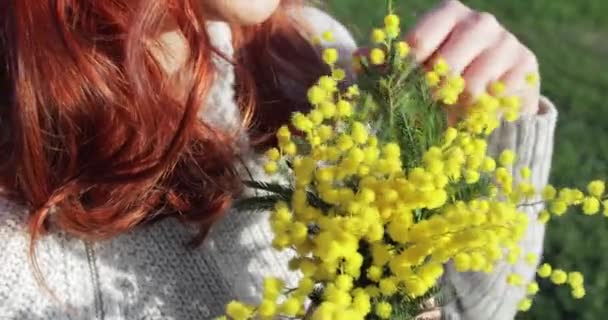 Chica joven toca mimosa amarilla flores para el día de la mujer — Vídeos de Stock