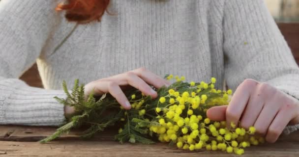 Manos de una chica anónima tocan la flor mimosa amarilla en una mesa de madera — Vídeos de Stock