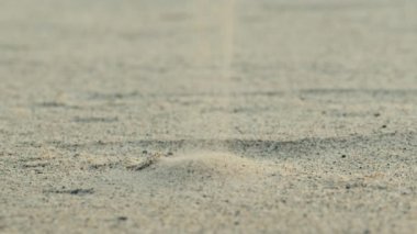 Bir çocuğun eli kumsaldan bir yığın kum döküyor.