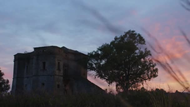 Silhouet van een kasteel bij zonsondergang in een veld van bomen en weiden — Stockvideo