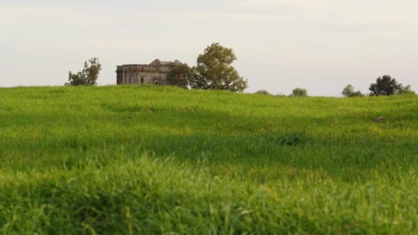 Castelo sobre um prado verde sem fim na Calábria — Vídeo de Stock