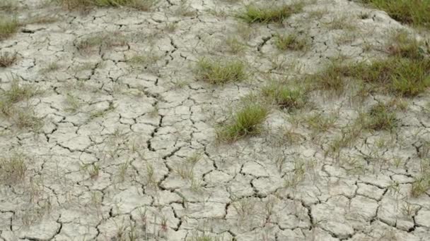 Landbouwgrond die lange tijd is verbrand als gevolg van droogte en gebrek aan regen — Stockvideo