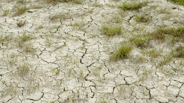 Landbruksareal som har vært brent lenge på grunn av tørke og regnmangel – stockfoto