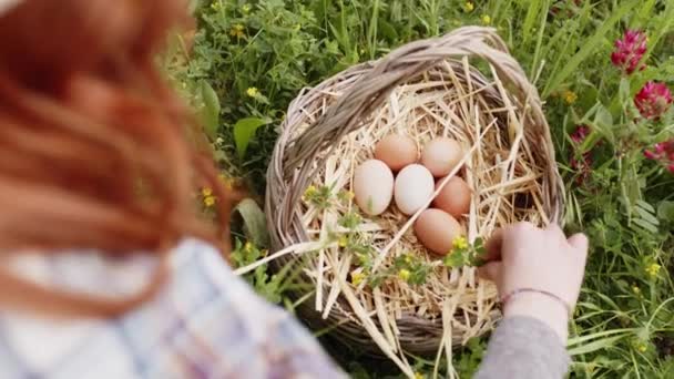 Basket full of fresh hen eggs collected in the countryside in the field — Video