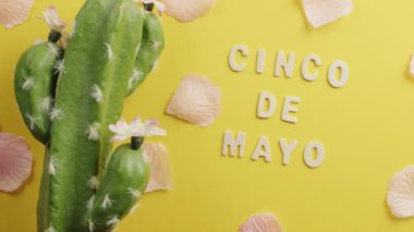 Cinco de mayo background for the party