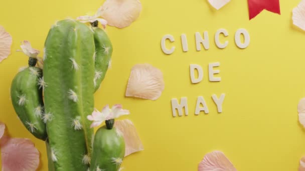 Cinco de mayo background for the party — Stock video